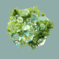 2023-01-HKSTP-Cultivating-A-Vibrant-Green