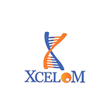 Xcelom LimitedProfilePic430