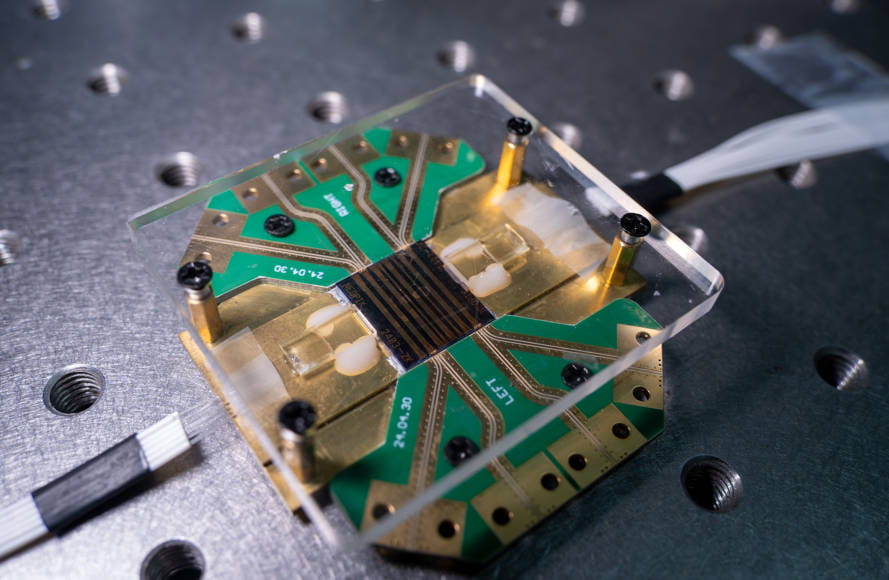 Kokoxili Photonics LimitedProductImg284dc4253-8521-ef11-840a-6045bd1f7cd9_ProductImage2_11082025