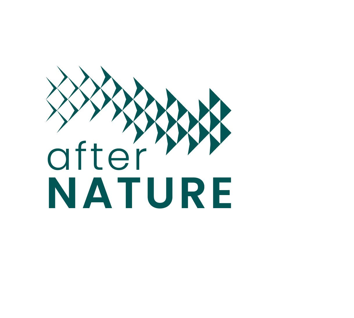 afterNATURE Limited3276eed4-dad9-ed11-a7c7-000d3a07e30c_CompanyLogo_05062025
