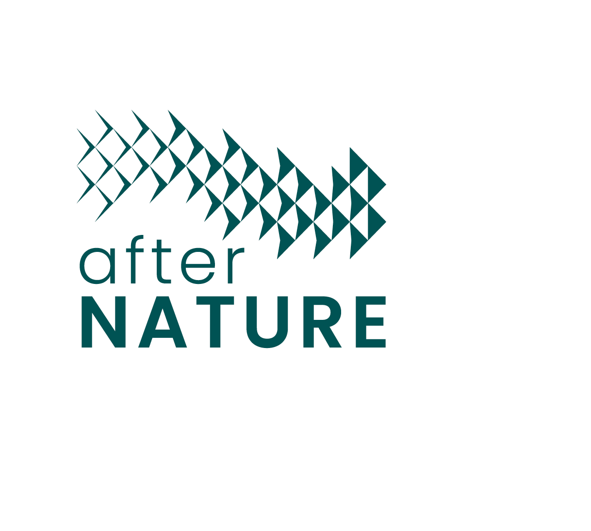 afterNATURE Limited3276eed4-dad9-ed11-a7c7-000d3a07e30c_CompanyLogo_05062025