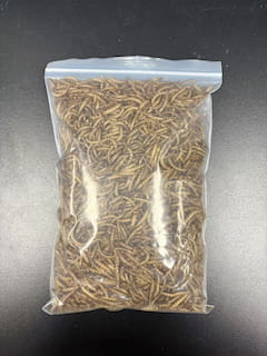 BeastiBite LimitedProductImg2cc6d6735-cb5d-ef11-bfe4-000d3aa2aeff_ProductImage2_27072026