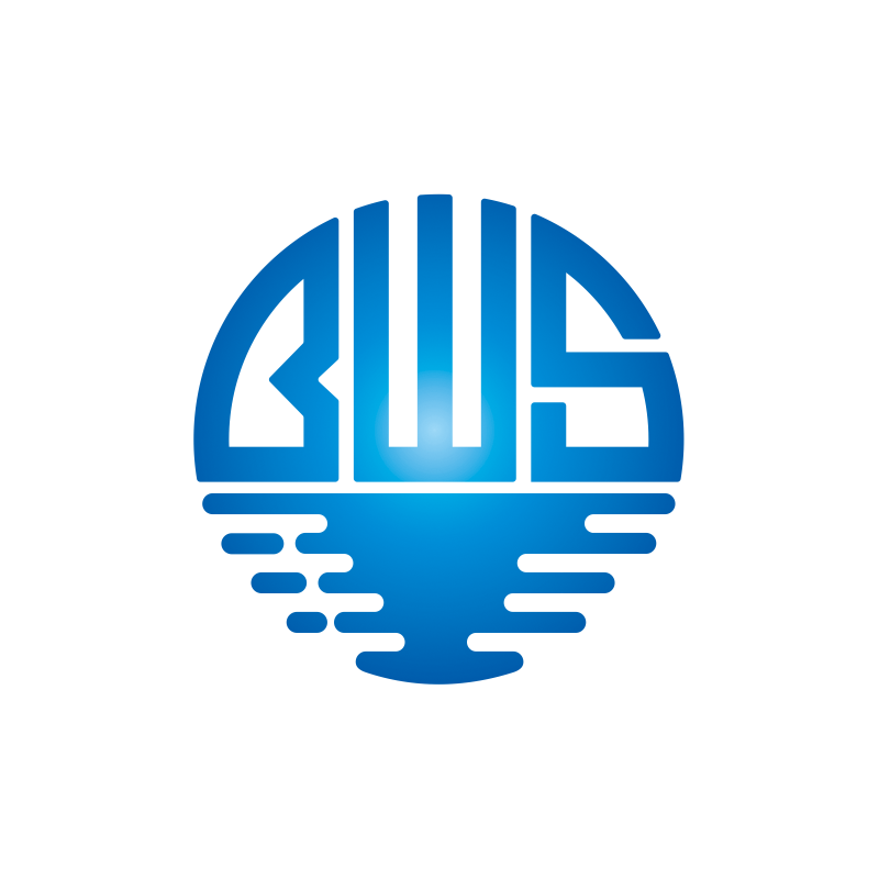BWSea Technology HK Co Limitedcompany logo