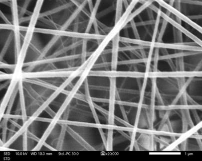 Ecotec Global LimitedProductImg28ede7fb7-b4d6-ec11-a7b5-0022485aa0d1_ProductImage2_13102025