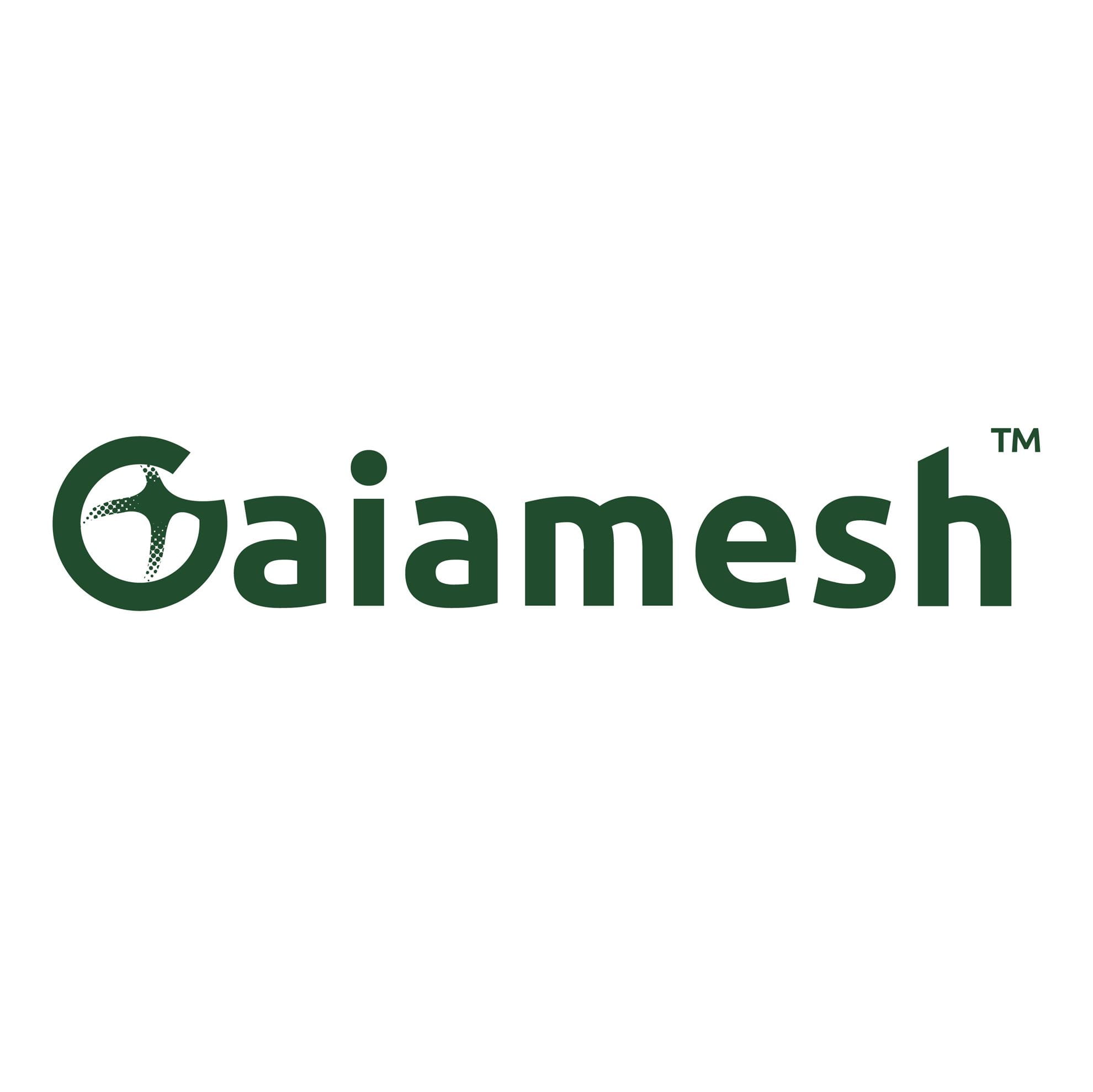 Gaiamesh Limited5283f9f4-2831-f011-8c4d-000d3ac82ccd_CompanyLogo_08072025