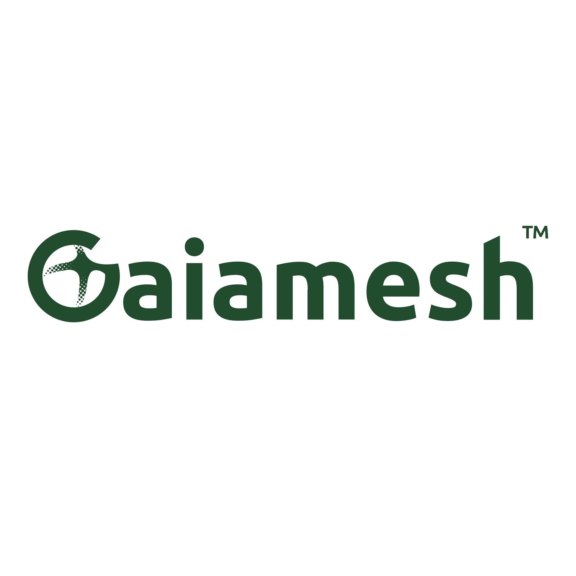 Gaiamesh Limited5283f9f4-2831-f011-8c4d-000d3ac82ccd_CompanyLogo_08072025