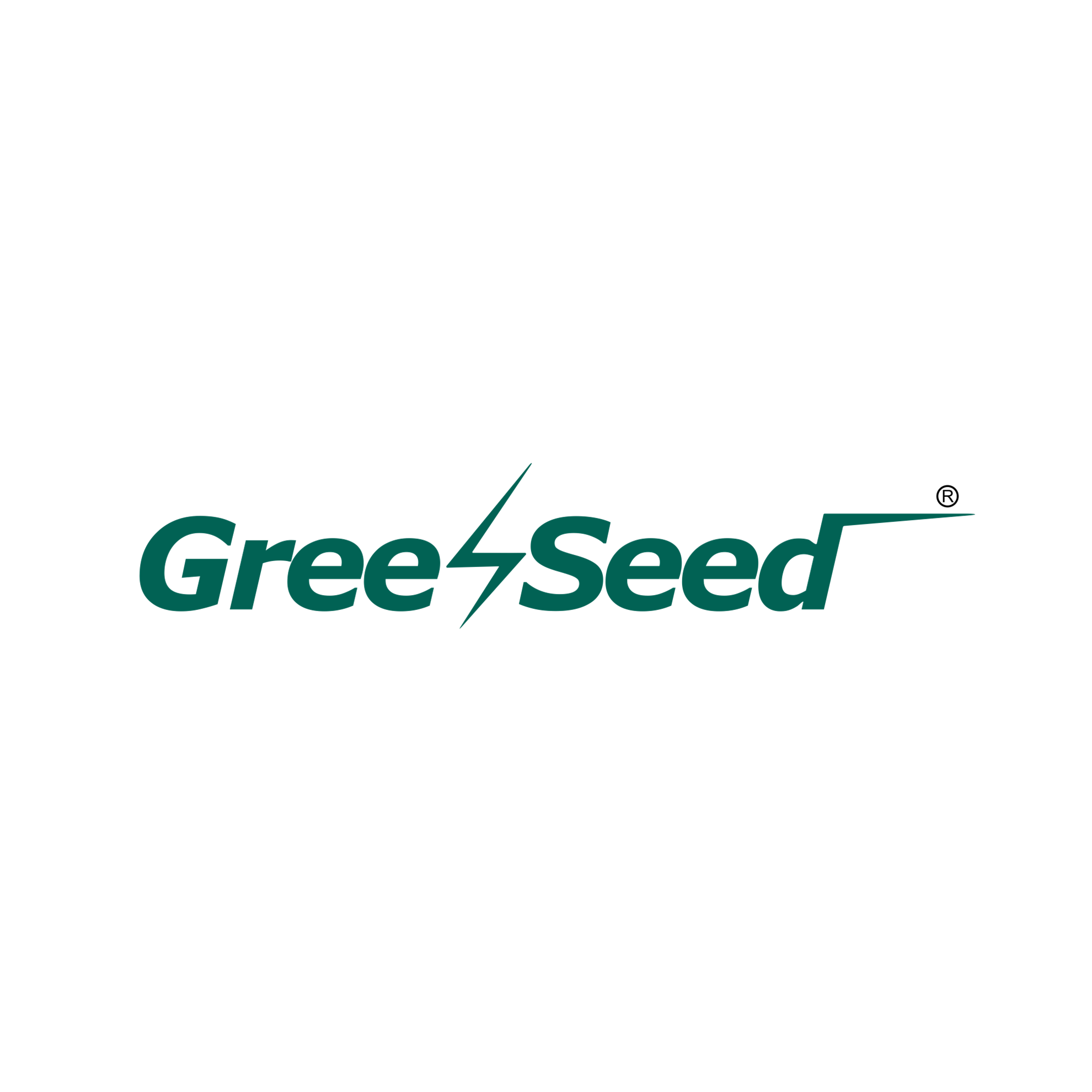 GREENSEED POWER LIMITED93db67f9-96d9-f011-8544-000d3aa12cb8_CompanyLogo_09062026