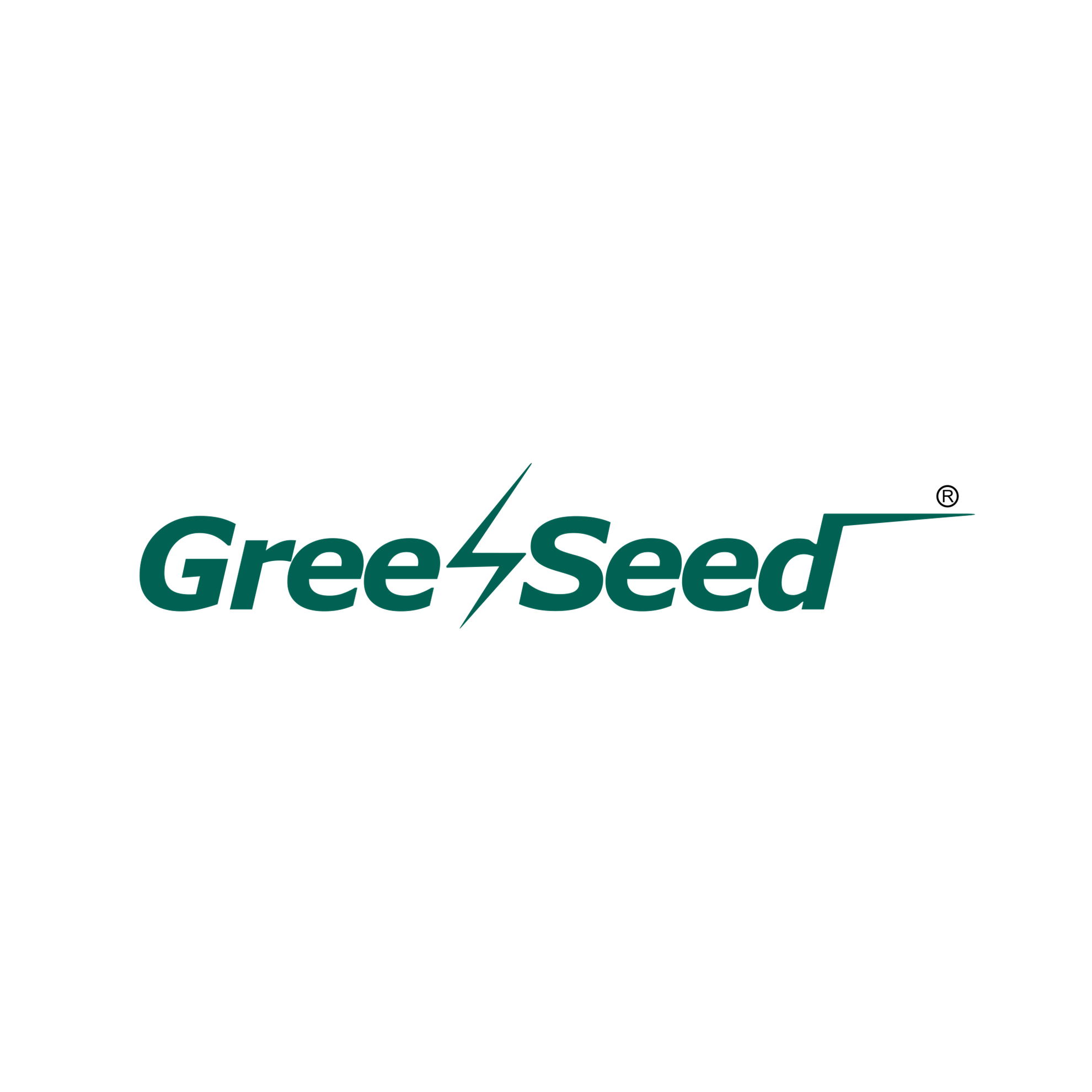 GREENSEED POWER LIMITED93db67f9-96d9-f011-8544-000d3aa12cb8_CompanyLogo_09062026