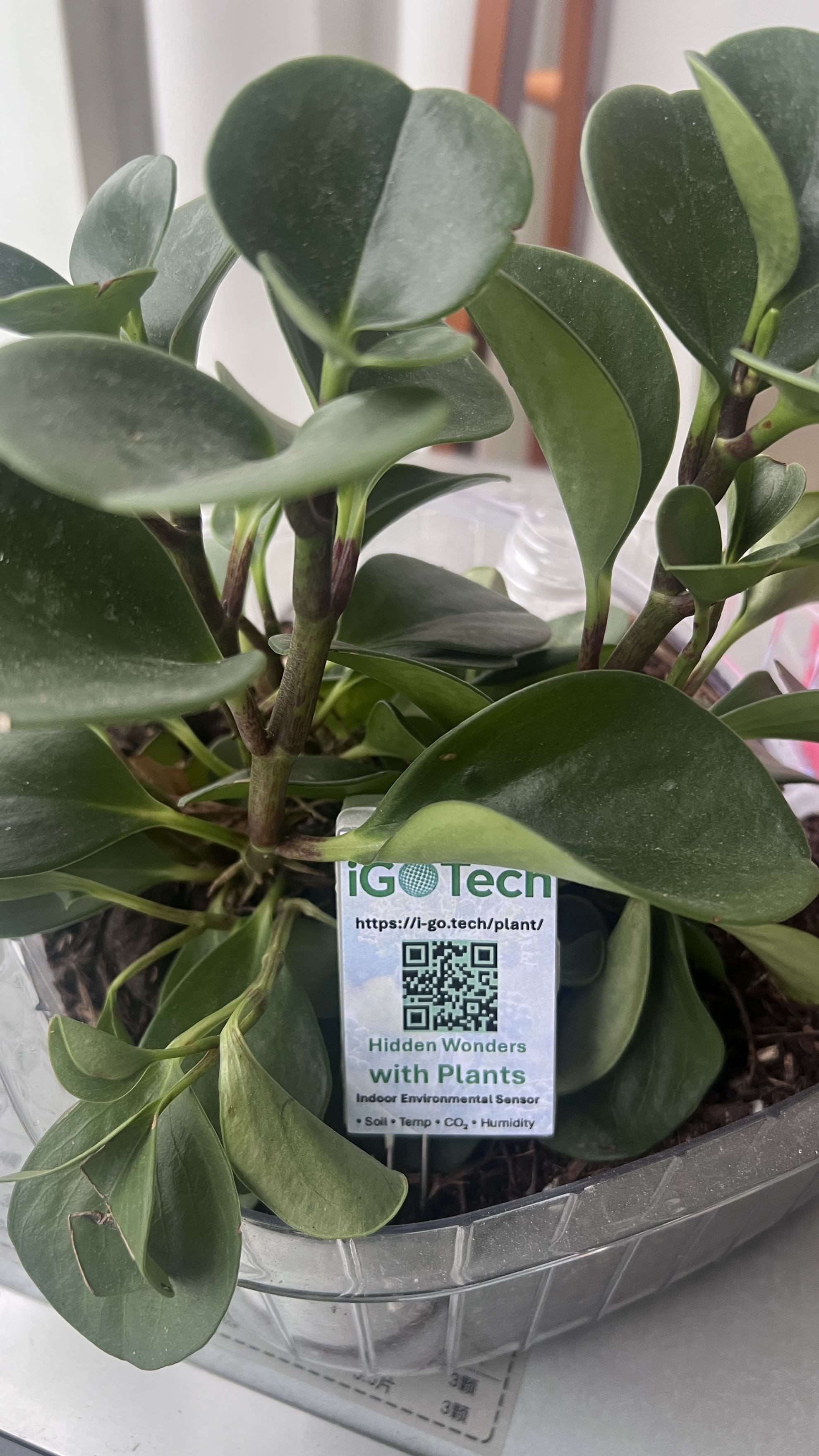 iGo Tech Private LimitedProductImg2adb871c0-dd3c-ef11-a316-0022485ad182_ProductImage2_23012026