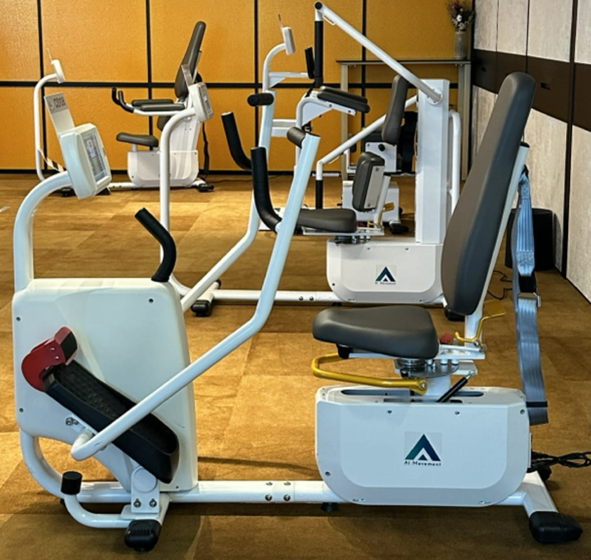 ADWORTH PREVENTIVE HEALTHTECH LIMITEDProductImg242ea7455-8d2c-ef11-840a-6045bd1f9cb7_ProductImage2_07092026