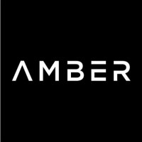 Amber AI Services Limitedd6ffc196-c8d9-ed11-a7c7-000d3aa082d7_CompanyLogo_18022025