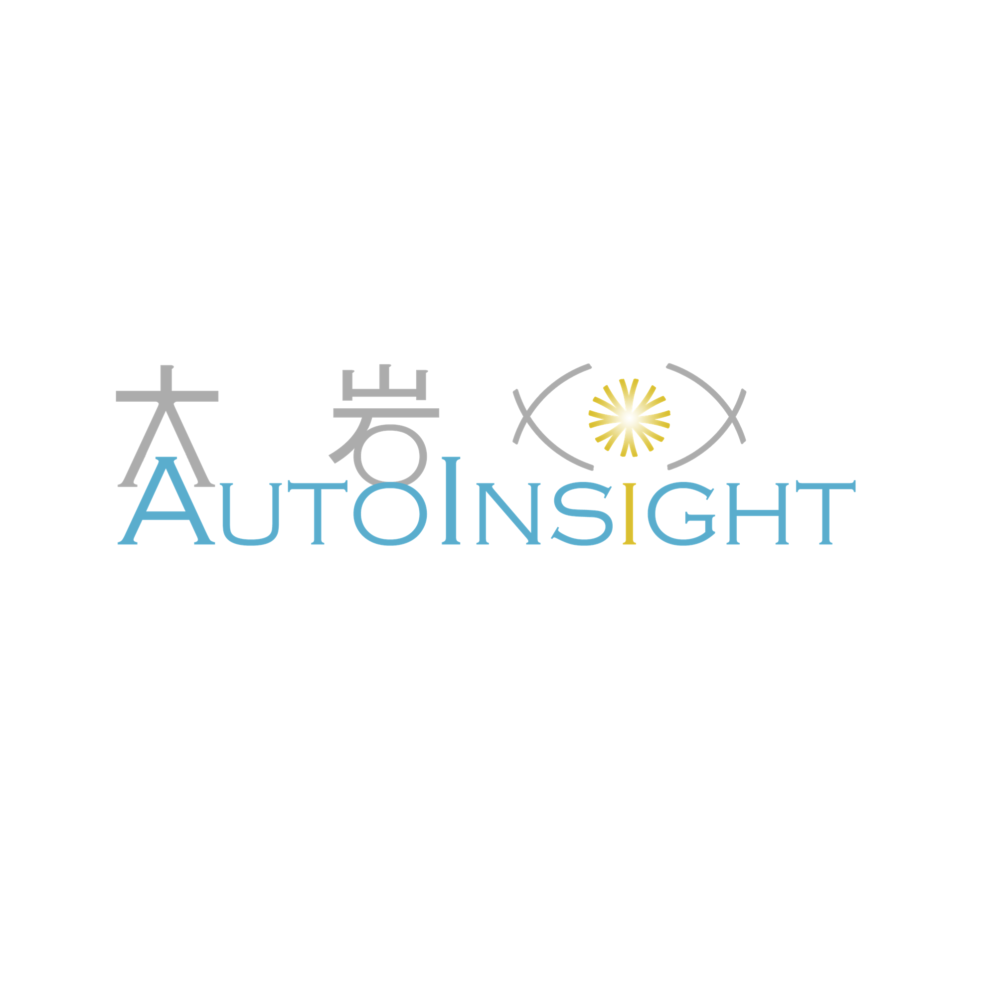 AutoInsight Ltd6204a268-7233-ef11-8e4e-6045bd1d070d_CompanyLogo_20022025