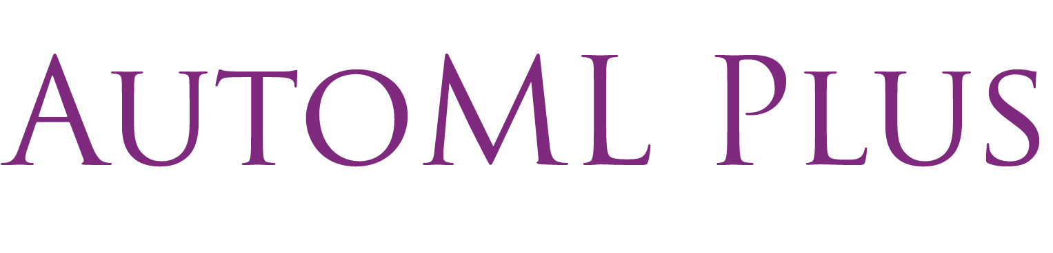 AUTOML PLUS LIMITEDcompany logo