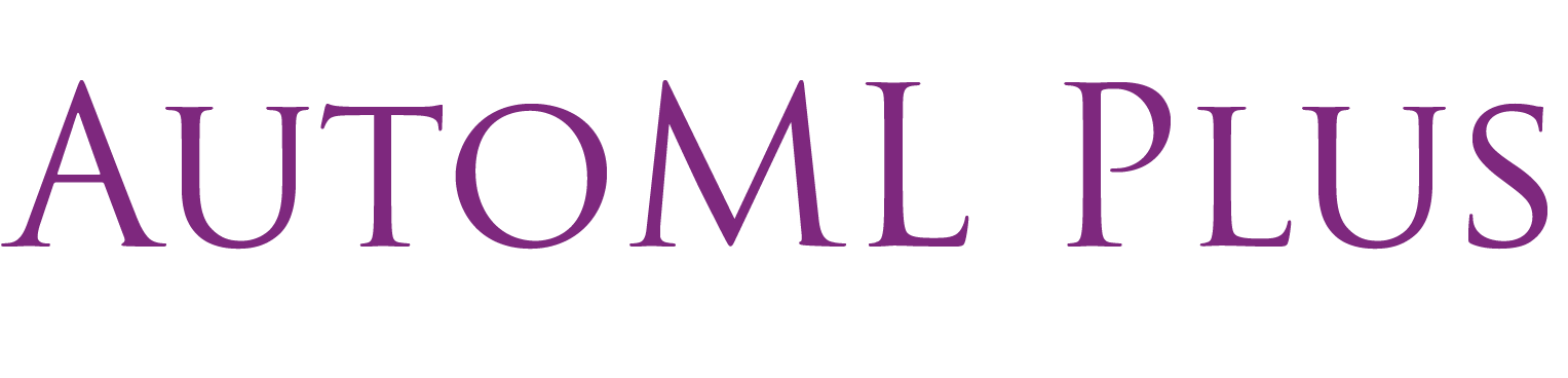 AUTOML PLUS LIMITEDcompany logo