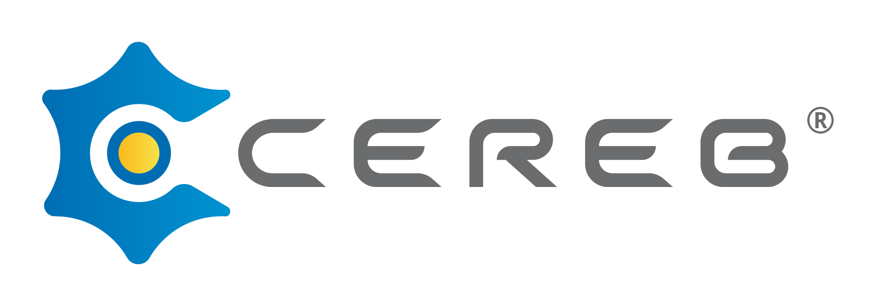 Cereb Intelligence LimitedCereb Intelligence Limited