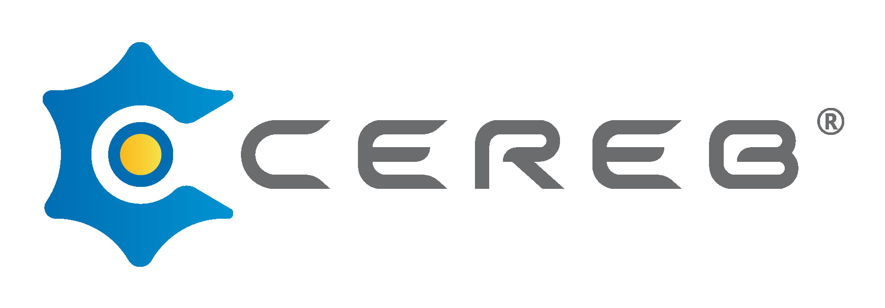 Cereb Intelligence LimitedCereb Intelligence Limited