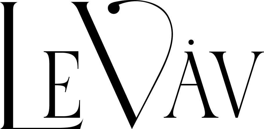 LEVAV LIMITED0ed183cd-90a6-ed11-aad1-6045bd21b175_CompanyLogo_31032025