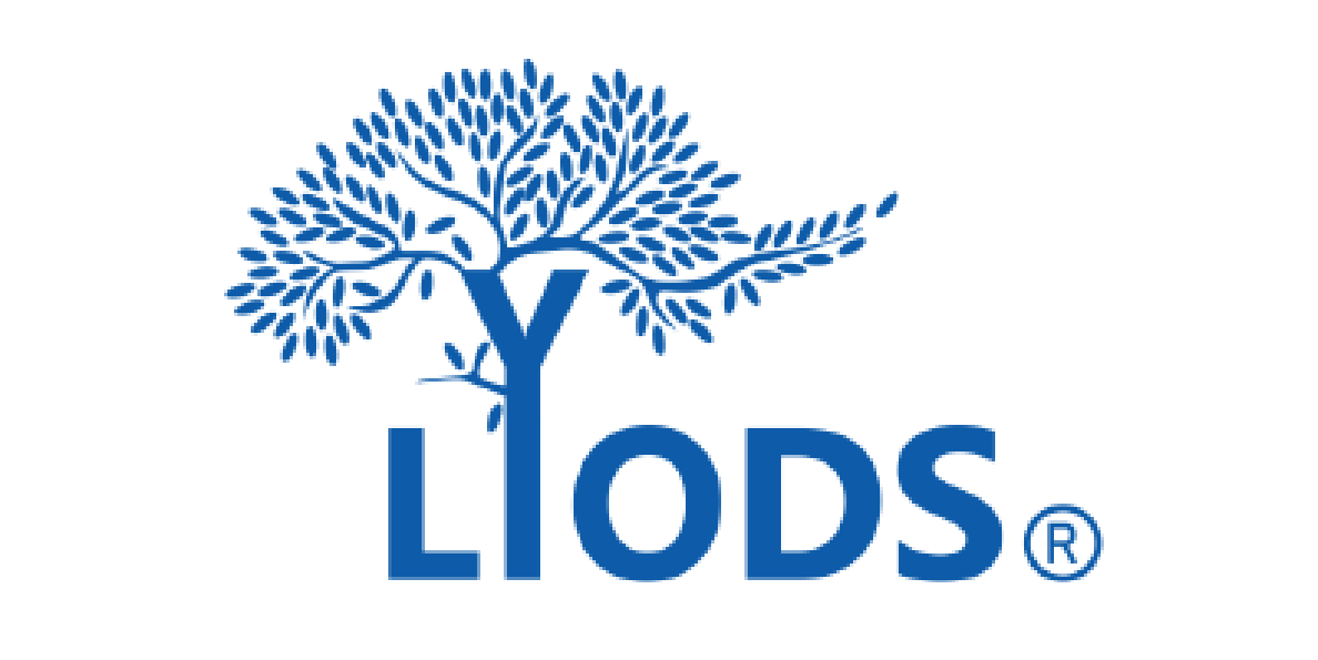 Lyodssoft Limited761df784-b747-ee11-be6f-000d3a07e30c_CompanyLogo_28082024