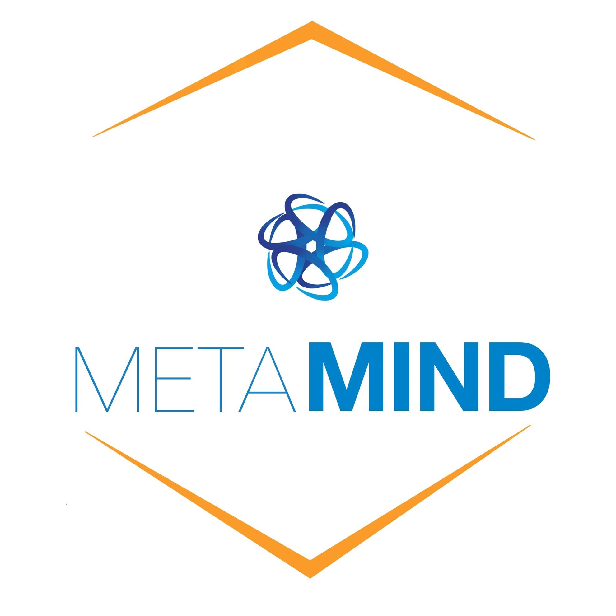 META MIND XR TECH LIMITED60bdba9f-be5a-ef11-bfe3-002248569066_CompanyLogo_02062026