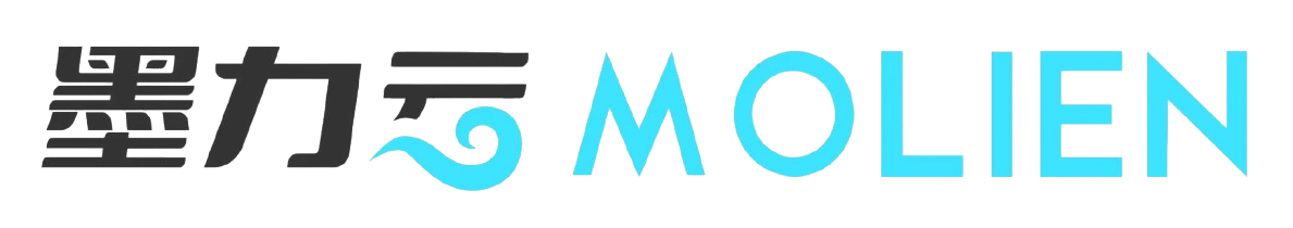 MOLIEN INTERNATIONAL LIMITED3756ecdd-33f4-ef11-be20-000d3ac724df_CompanyLogo_09032026