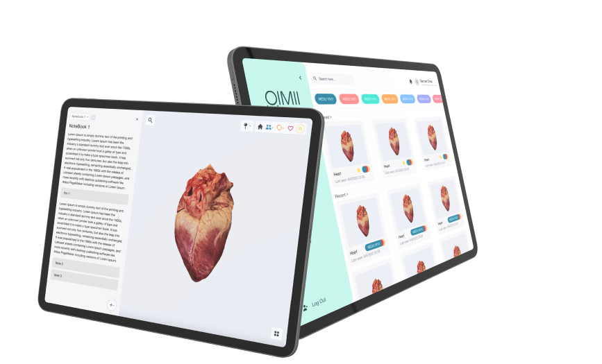 OAO LimitedProductImg1db60ea07-8d15-ee11-9cbe-000d3aa08522_ProductImage1_22082023