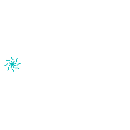 PalmX Technology Limited365f051c-5989-f011-b4cb-6045bd21a54e_CompanyLogo_03062026