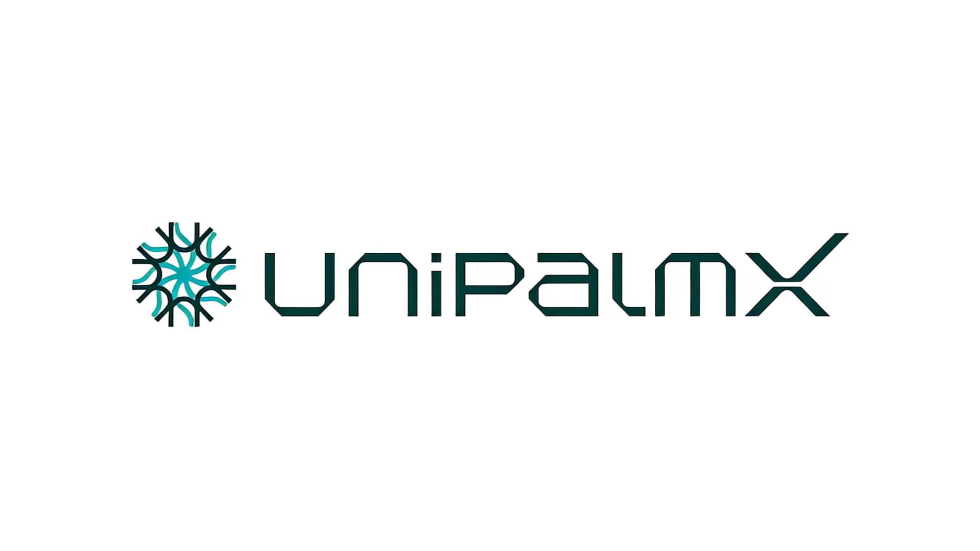 PalmX Technology Limited365f051c-5989-f011-b4cb-6045bd21a54e_CompanyLogo_29062026
