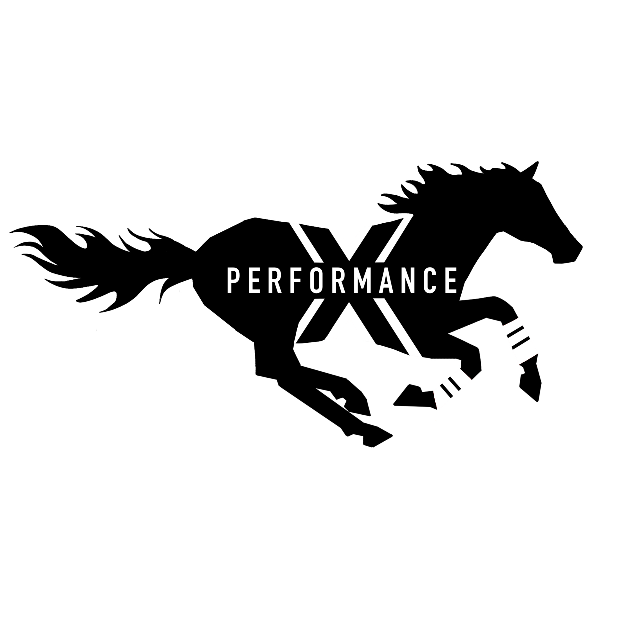 PERFORMANCE X LIMITED348f097e-ff3c-ef11-a316-000d3aa0c8c8_CompanyLogo_24022026