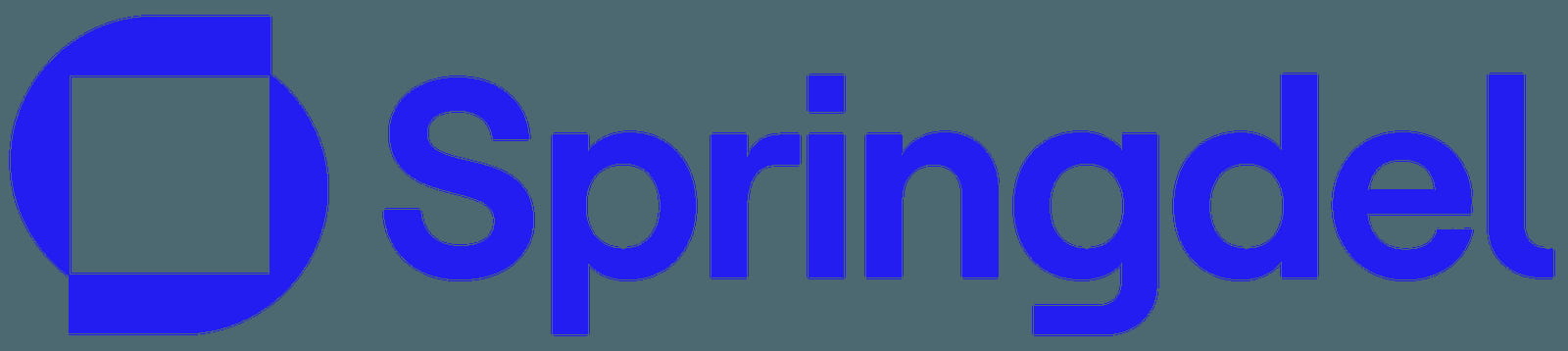 Springdel Technology LimitedSpringdel Technology Limited(919)jpg
