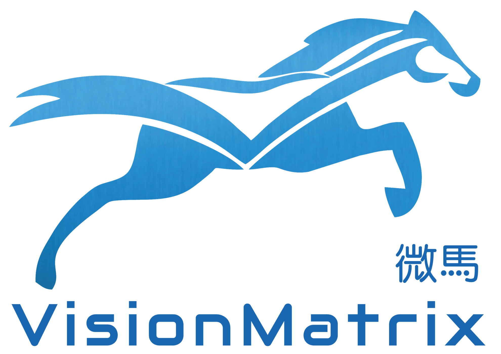VisionMatrix Technology Limited002aa021-3344-eb11-8138-0050569a2b20_CompanyLogo_16062026