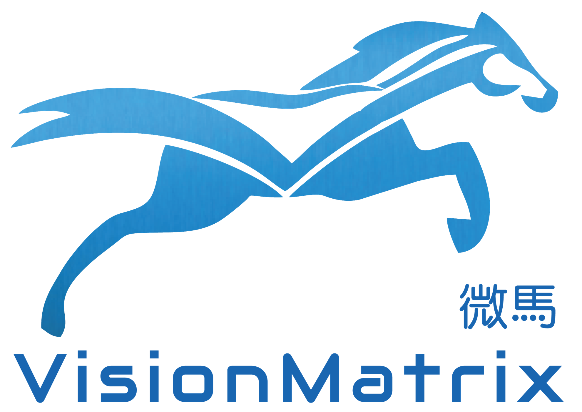 VisionMatrix Technology Limited002aa021-3344-eb11-8138-0050569a2b20_CompanyLogo_21112025