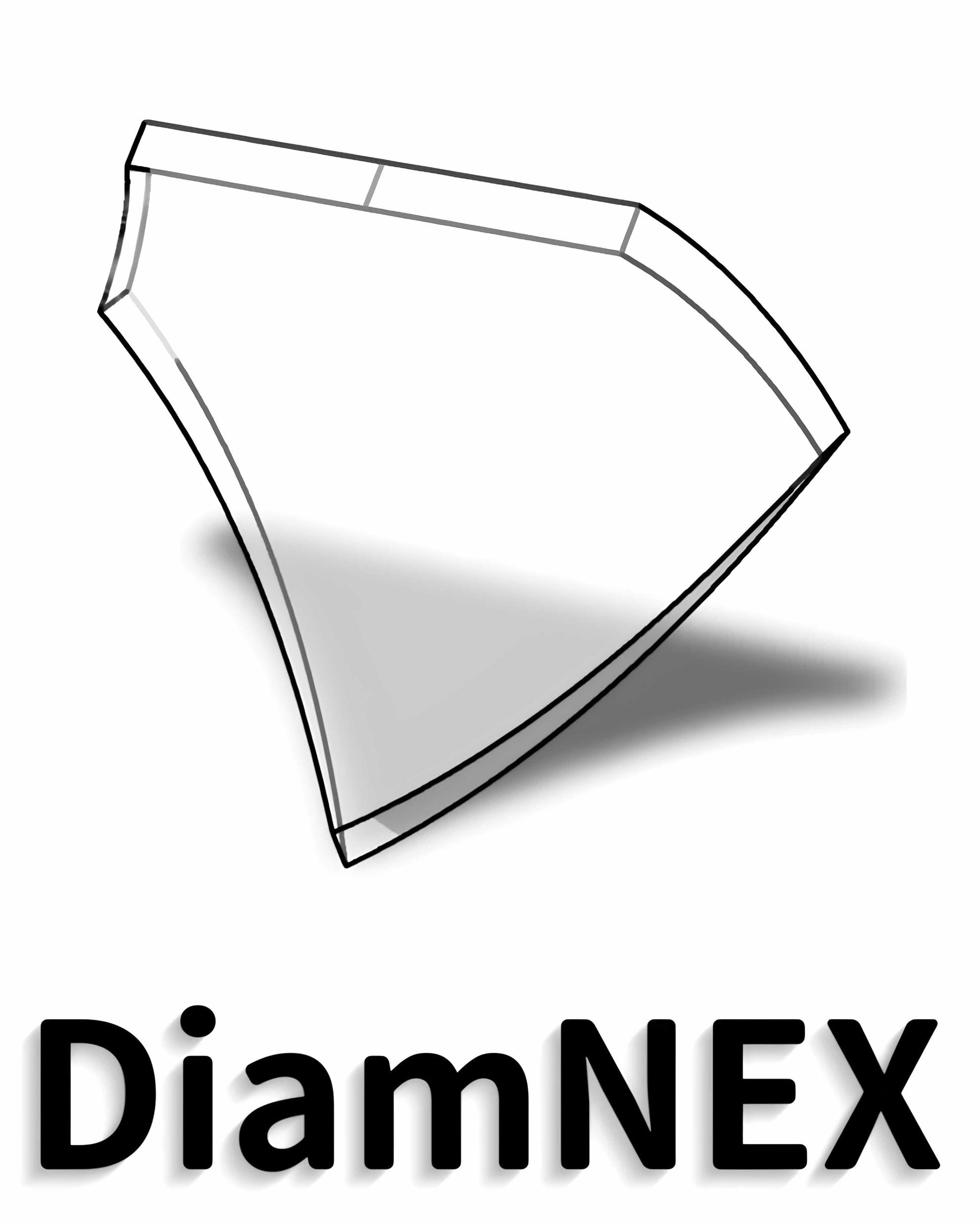 DIAMNEX LIMITEDaa0bb44f-2d7f-f011-b4cc-00224859a992_CompanyLogo_11032026