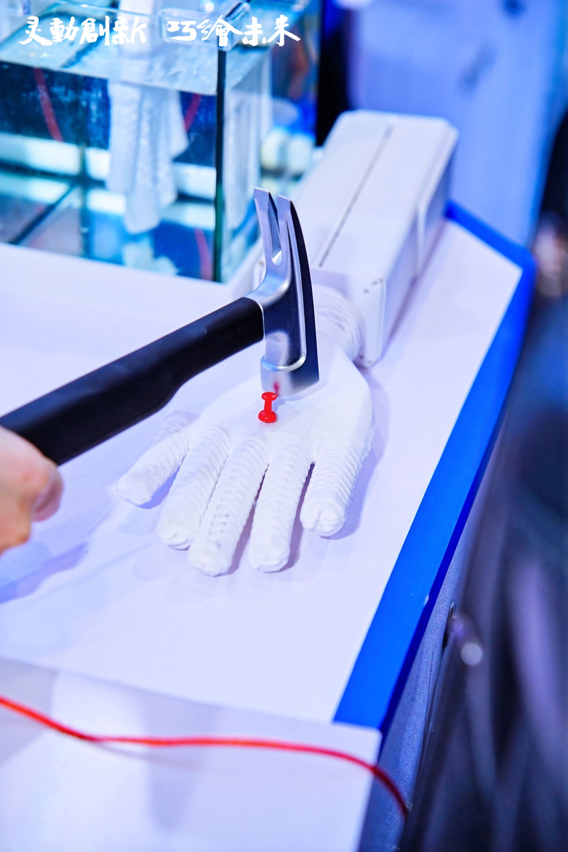 LX ROBOTICS LIMITEDProductImg289f88acb-bb4f-ef11-a316-6045bd1cf921_ProductImage2_23012026