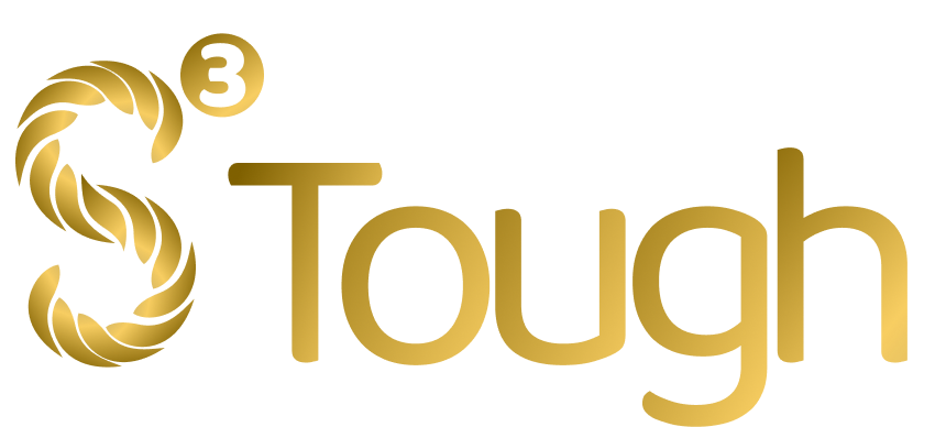 S3Tough Tech Co Limitedfd719d5c-3372-ee11-8179-000d3aa08c15_CompanyLogo_150724