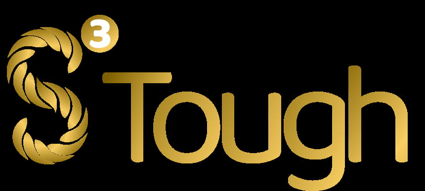 S3Tough Tech Co Limitedfd719d5c-3372-ee11-8179-000d3aa08c15_CompanyLogo_150724