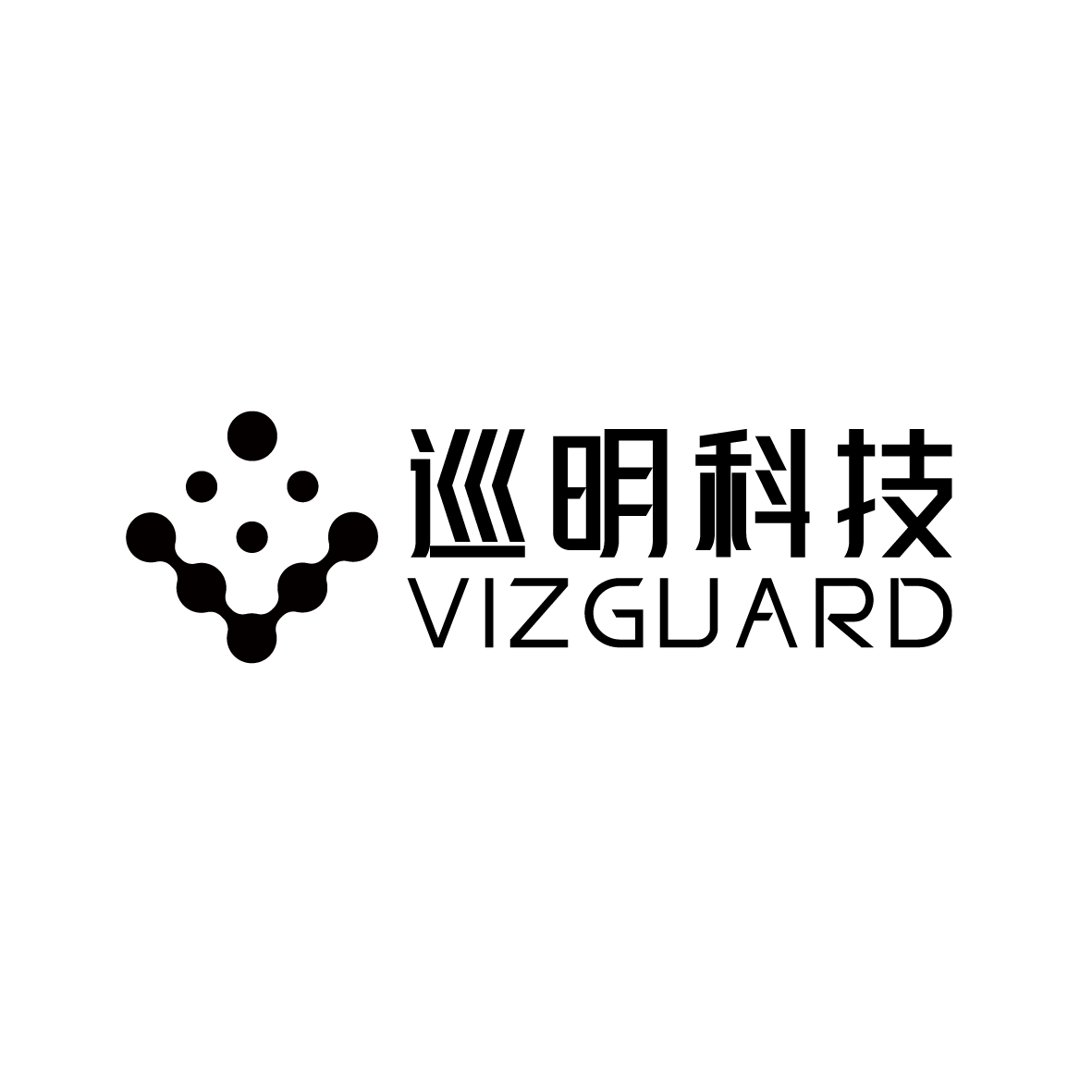 Vizguard Limitedcompany logo
