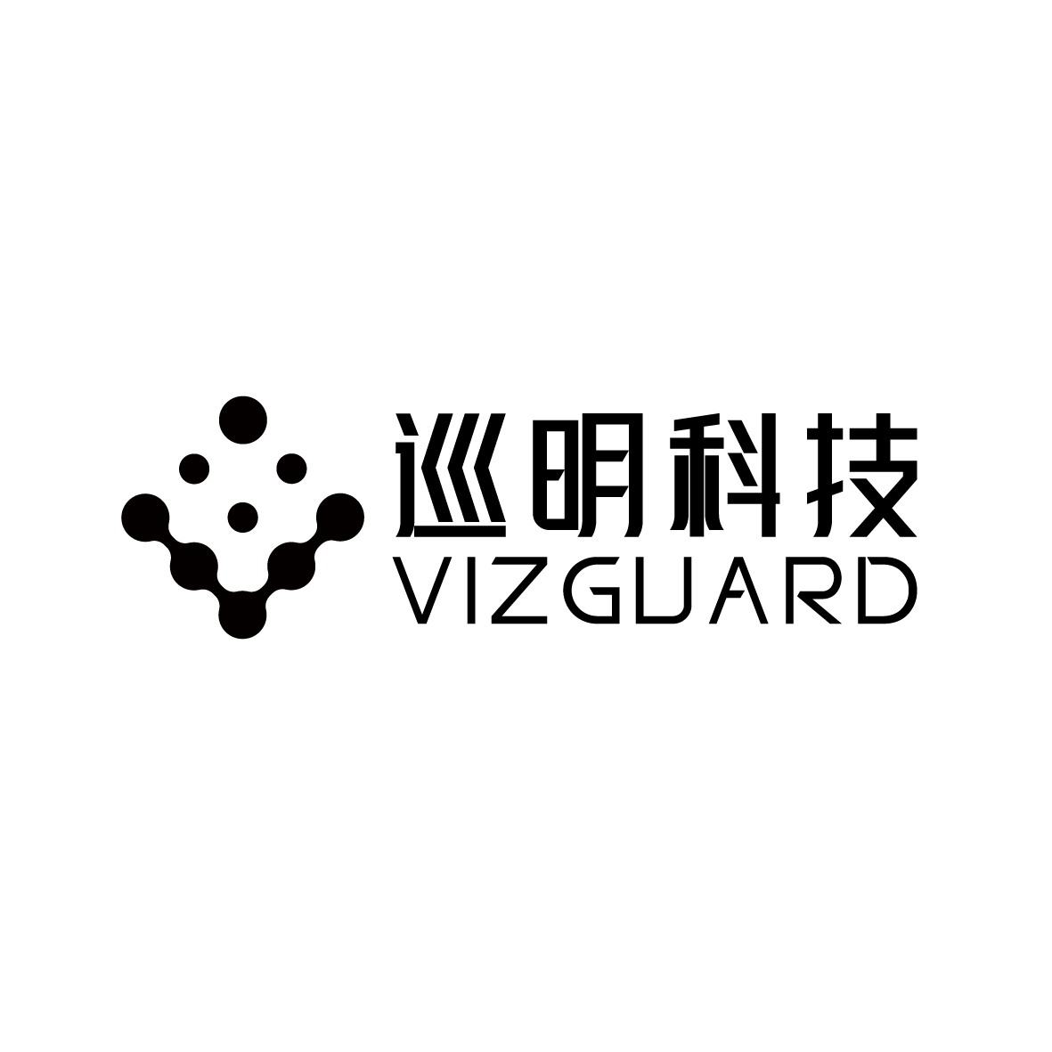 Vizguard Limitedcompany logo
