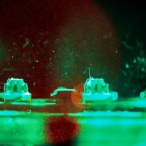 img_collection_500_01