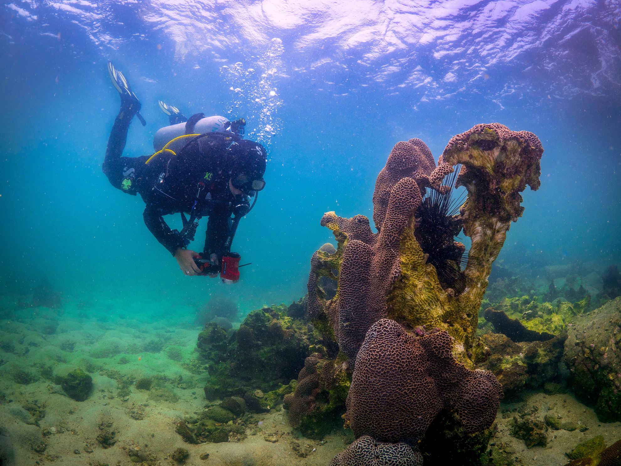 Archireef Underwater 2 by Victor Lau.jpg