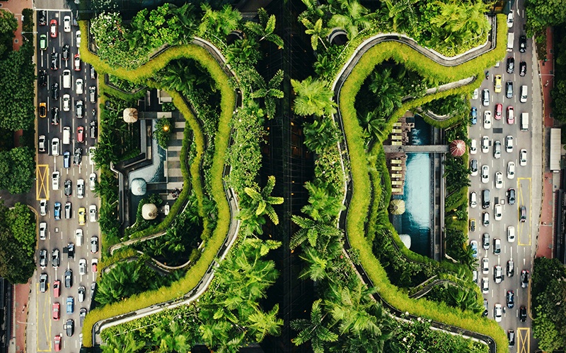 Fortune - Green Tech