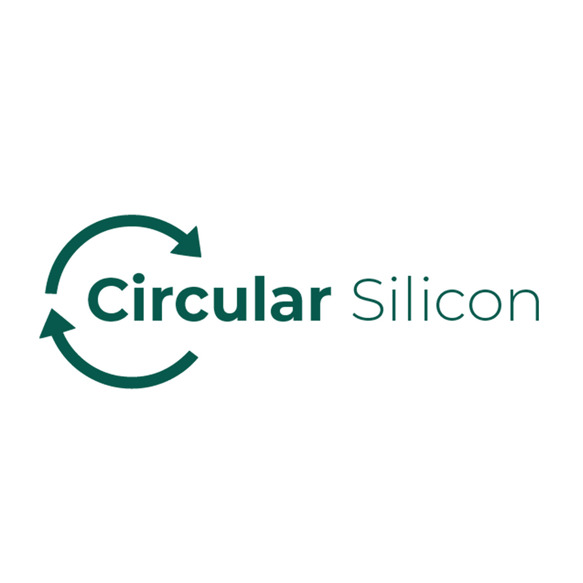 Circular-Silicon-icon
