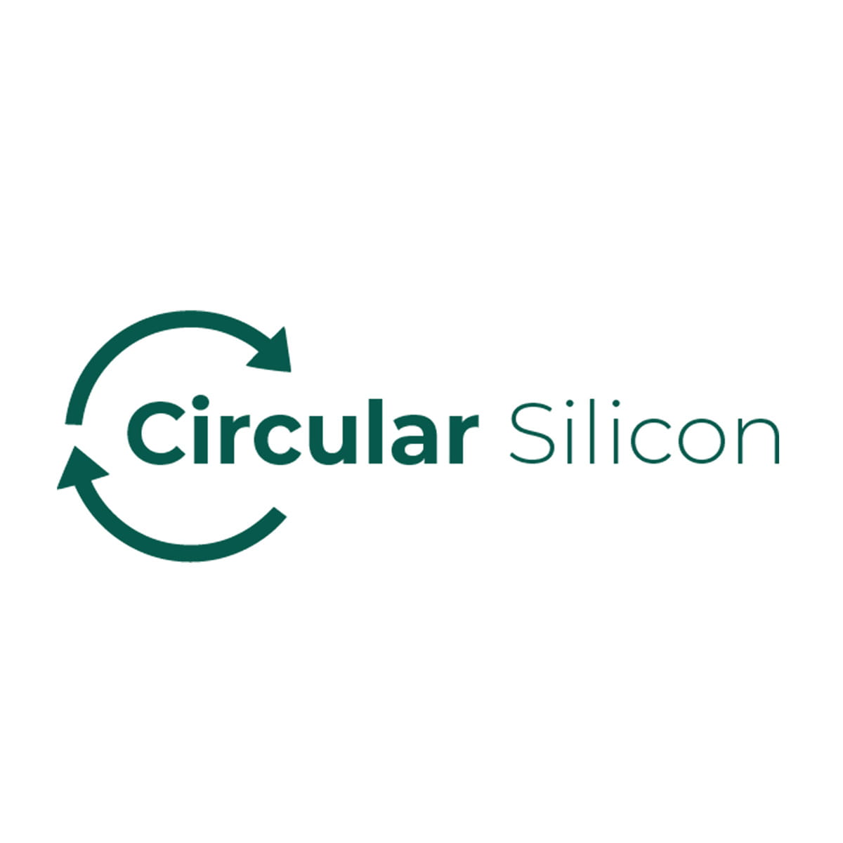 Circular-Silicon-icon