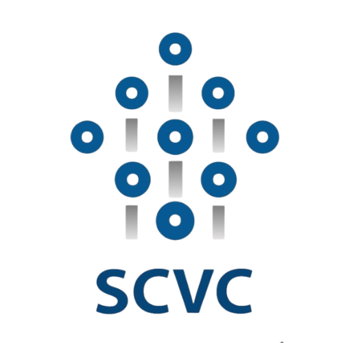 Shenzhen Zhongnan Growth Investment Management Co