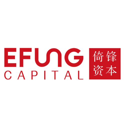 Shenzhen Efung Investment Management Co Ltd