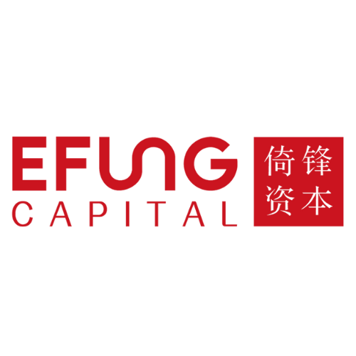 Shenzhen Efung Investment Management Co Ltd