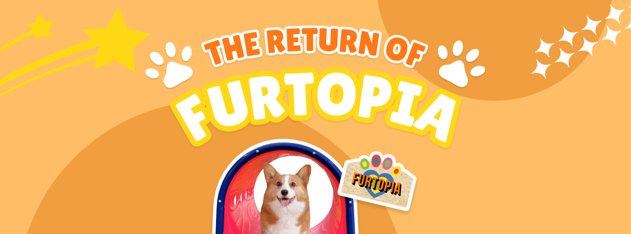 Return_of_Furtopia_1238 x 460 px_EN