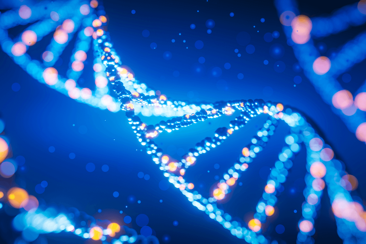 1200800_Market Discovery