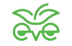 PROJECT EVE LIMITED